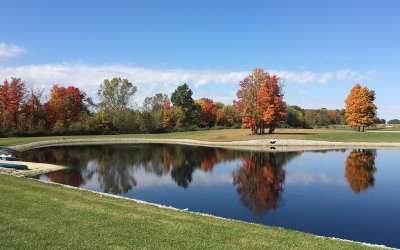 Preventative Maintenance for a Healthy and Beautiful Pond