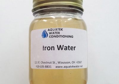 Jar of water with iron