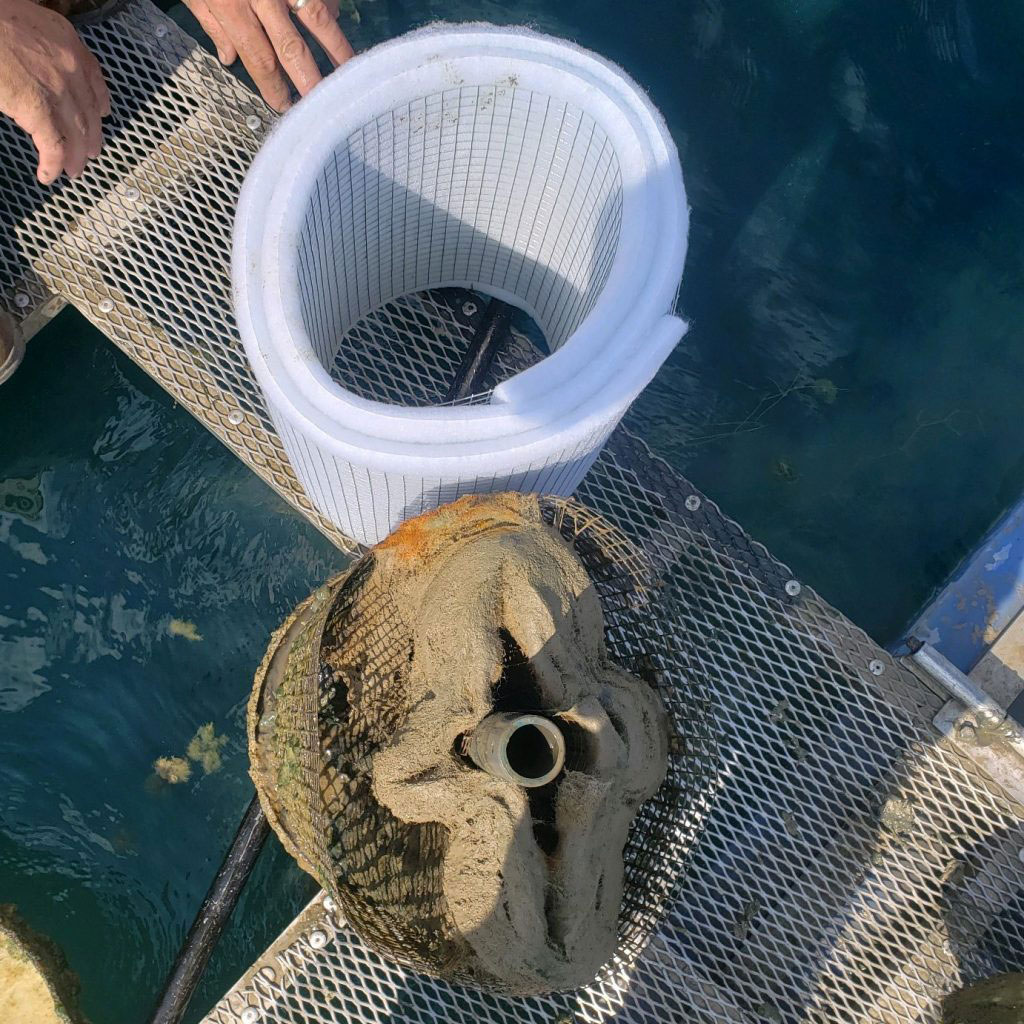 collapsed pond filter