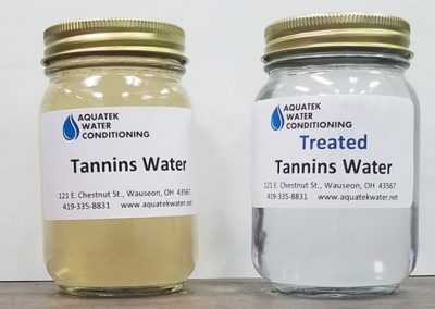 Tannins Water in a Glass Jar Compared to Treated Tannins Water in a Glass Jar
