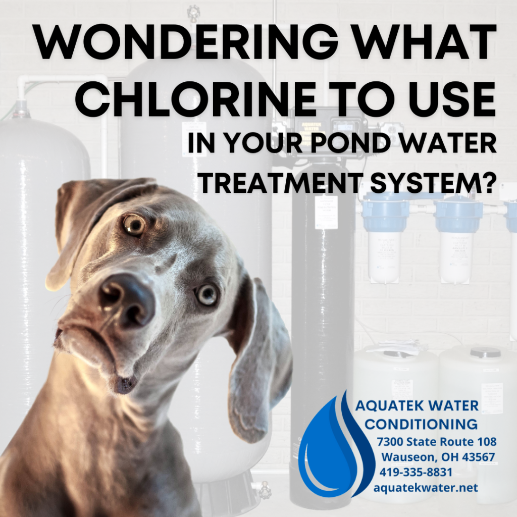 Image stating "Wondering What Chlorine to Use in Your Pond Water Treatment System?"