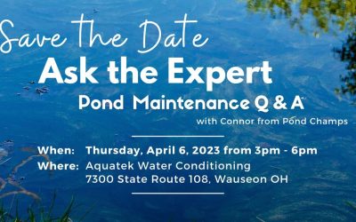 Ask the Expert’s Q&A